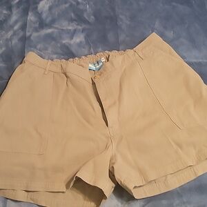Big Bud Press Work Khaki Shorts